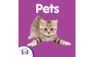 Pets Songs