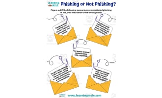 Phishing or Not Phishing Activity