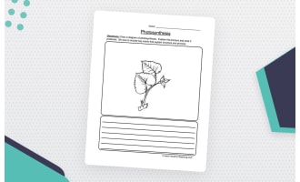 Photosynthesis Diagram Worksheet