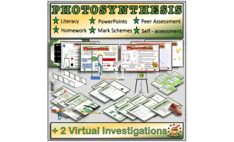 Photosynthesis Explained With Two Animated Investigations