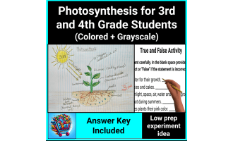 Photosynthesis Lesson and Experiment for 3rd and 4th Grade Science