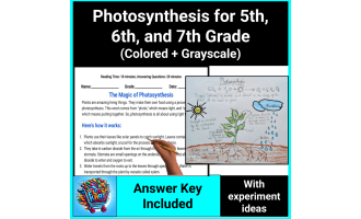 Photosynthesis Lesson, Worksheets, and Experiments for 5th, 6th, & 7th
