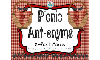 Picnic Antonyms Task Cards