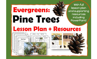 Pine Trees: Evergreens: Mini Project with Decodable Reading Passages