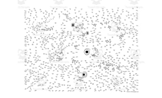 Piranha Extreme Difficulty Dot-to-Dot / Connect the Dots PDF