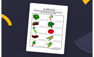 Plant Parts We Eat Worksheet