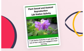 Plant Sexual and Asexual Reproduction – Lab Station Activity