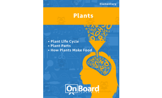 Plants | Academic Workbook