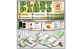 Plants - Anatomy of the flowering Plant for Middle School