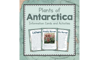 Plants of Antarctica |  Antartica Unit Study | Geography Bundle