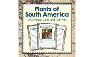 Plants of South America | South America Unit Study | Geography Bundle
