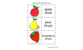 Plants We Eat Flash Cards