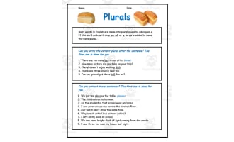 Plural Nouns Worksheet