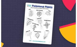 Poisonous Plants Activity