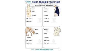 Polar Animals Activity