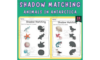 Polar Shadow Puzzels: Antarctic Adventure