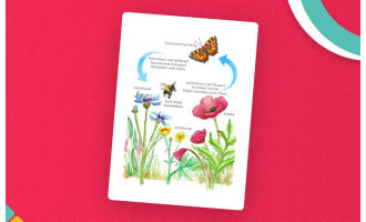 Pollinators Printable Poster