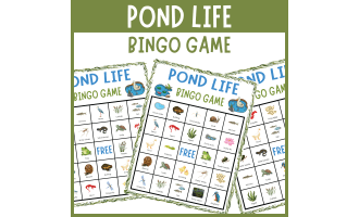 Pond Habitats Freshwater animals insects Bingo Game Nature Activities