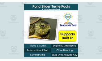 Pond Slider Turtle Facts | Interactive Science Lesson | Micro-Learning Deck