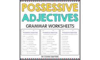 Possessive Adjectives Grammar Activity Worksheets for Grade 2, 3, 4