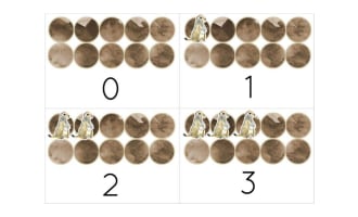 Prairie Dog Themed Frames Flashcards
