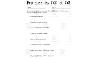 COD et COI – French Pronouns Exercises Worksheet