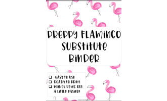 Preppy Flamingo Substitute Binder