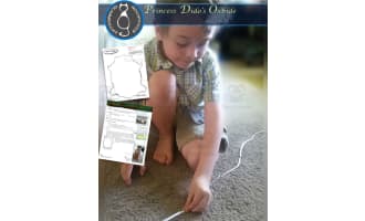 Princess Dido's Oxhide Activity