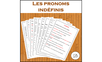 Pronoms indéfinis - Explications et exercices