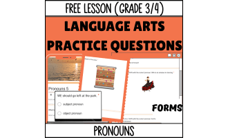 Pronouns Sample: Grammar Grades 3-4 (Google Forms)