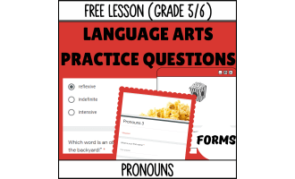 Pronouns Sample Lesson - Grammar Grade 5-6 (Forms)