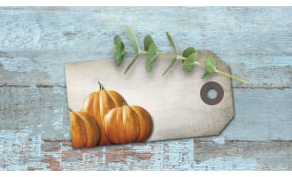 Pumpkin Gift Tags, Thanksgiving Gift Topper, Fall Notecard