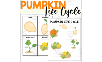 Pumpkin Life Cycle Poster and Sequencing Cards