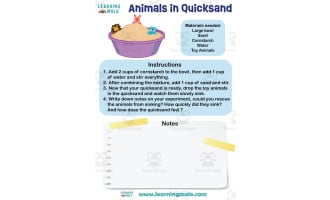 Quicksand Activity