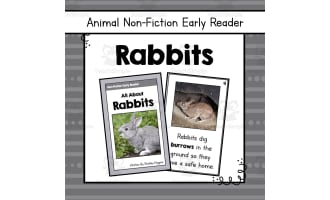 Rabbits Early Reader Nonfiction Book