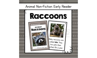 Raccoons Early Reader Nonfiction Book