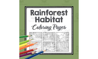 Rainforest Habitat Coloring Pages | Line Art Templates | Biome Art Project | Jungle