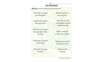 Rainforest True or False Worksheet