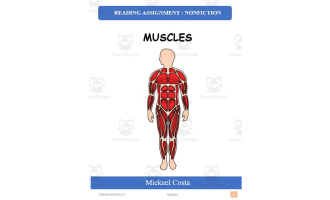 Reading assignment: muscles