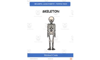 Reading assignment: Skeleton