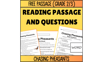 Reading Comprehension Fiction Set 2 Sample - Chasing Pheasants (Word)