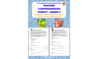 Reading Comprehension Forest | Grade 3 Reading Activities