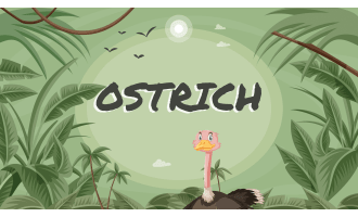 Reading Comprehension Nonfiction Set 1 Sample - Ostrich (PPT)