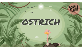 Reading Comprehension Nonfiction Set 1 Sample - Ostrich (Slides)