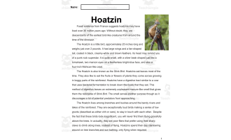 Reading Comprehension Nonfiction Set 2 Sample: Hoatzin (PDF)