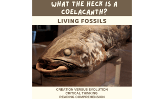 Reading Comprehension Quizzes - Coelacanth Ancient or Not?