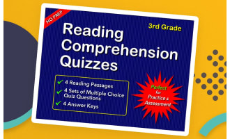 Reading Comprehension Quizzes for Grade 3