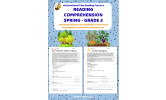 Reading Comprehension Spring | Grade 3 Reading Activities