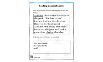 Reading Comprehension Worksheets