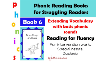 Reading Intervention for Struggling Readers: Book 6